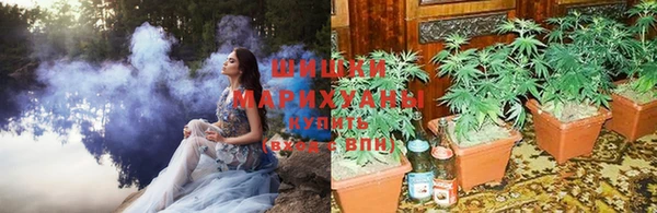 гидропоника Бронницы