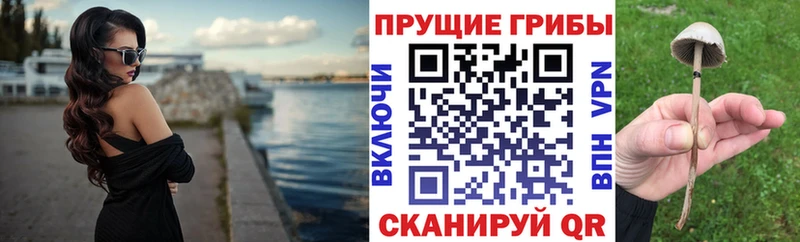 kraken зеркало  мориарти Telegram  Галлюциногенные грибы Cubensis  Южа 